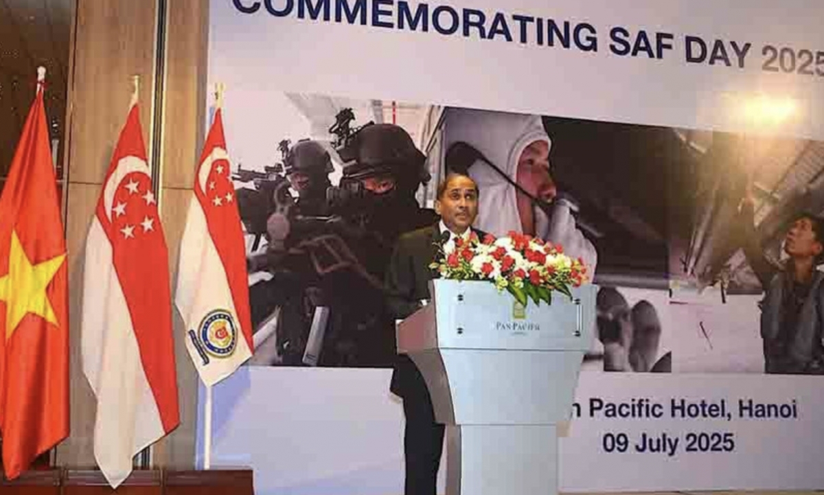 Vietnam, Singapore defence cooperation develops substantively, effectively